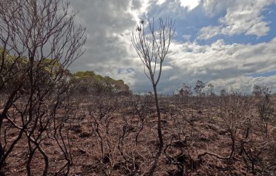 Impact du changement climatique en Nouvelle-Calédonie